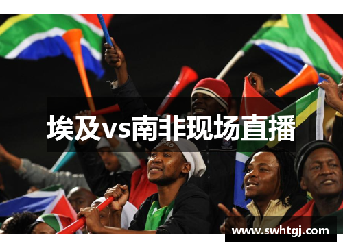 埃及vs南非现场直播