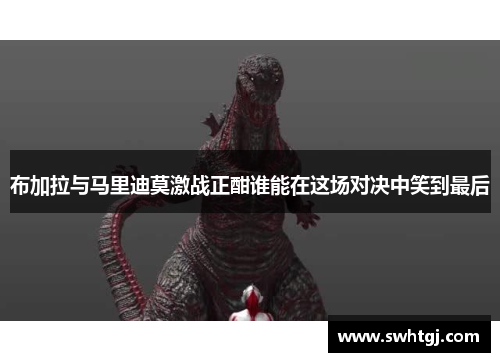 布加拉与马里迪莫激战正酣谁能在这场对决中笑到最后