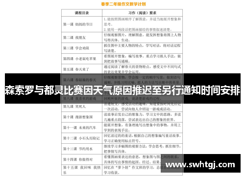 森索罗与都灵比赛因天气原因推迟至另行通知时间安排